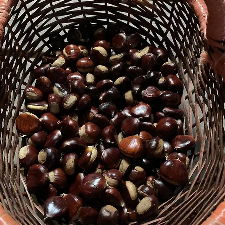 Nyaraló La Casita *