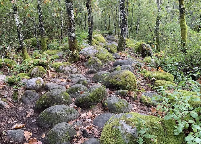 La Casita Hébergement de vacances